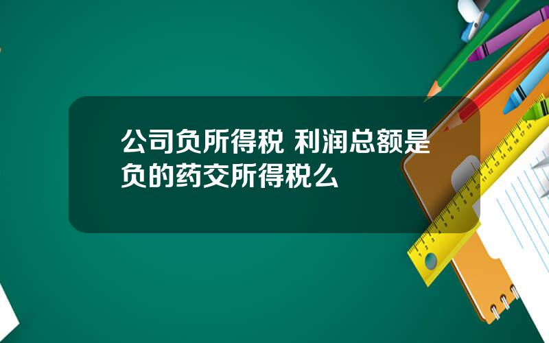 公司负所得税 利润总额是负的药交所得税么